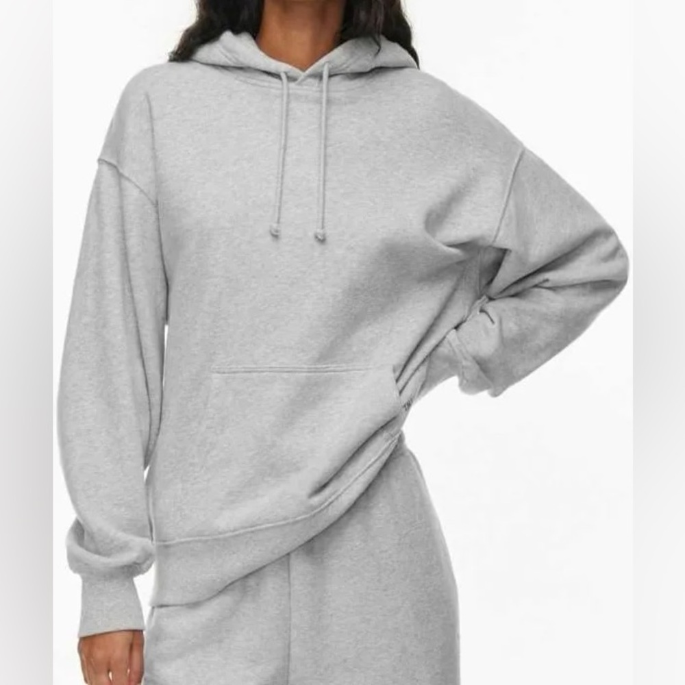 Aritzia Extra Fleece Boyfriend Hoodie